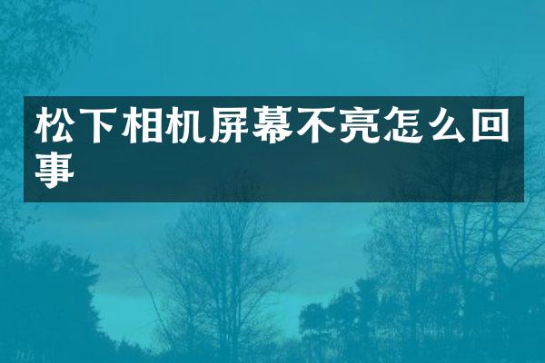 相机屏幕不亮怎么回事