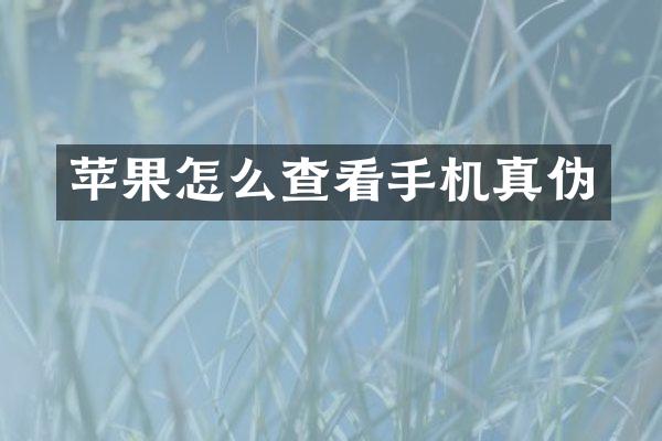 苹果怎么查看手机真伪