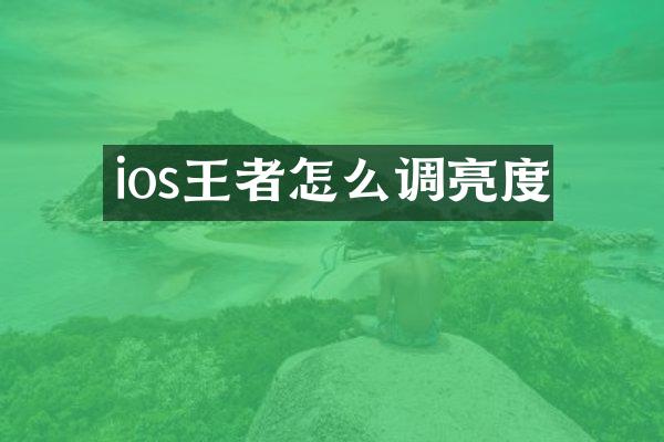 ios王者怎么调亮度