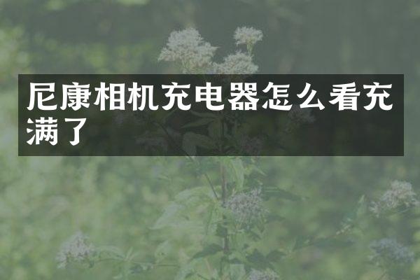 尼康相机充电器怎么看充满了