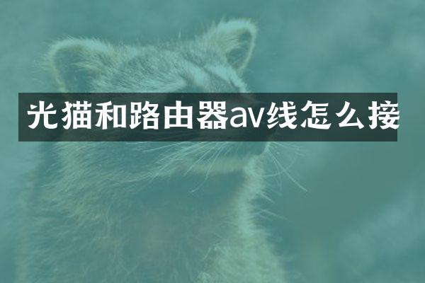 光猫和路由器av线怎么接