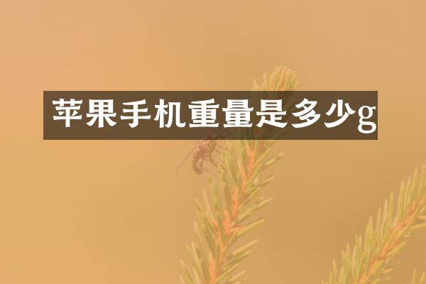 苹果手机重量是多少g