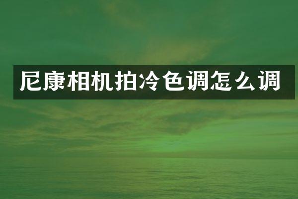 尼康相机拍冷色调怎么调