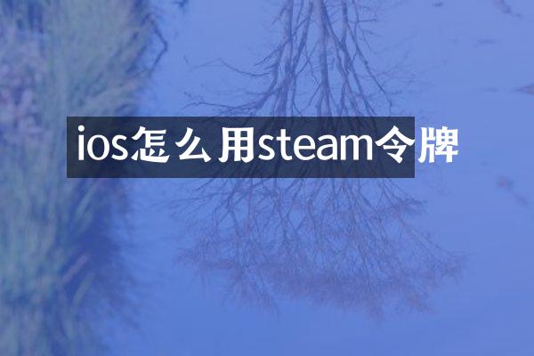 ios怎么用steam令牌