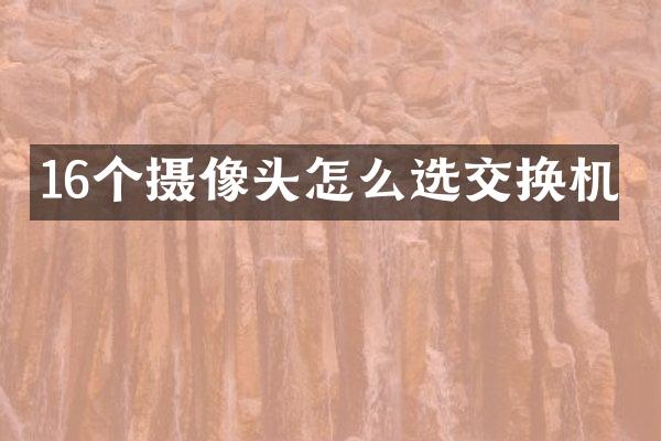 16个摄像头怎么选交换机