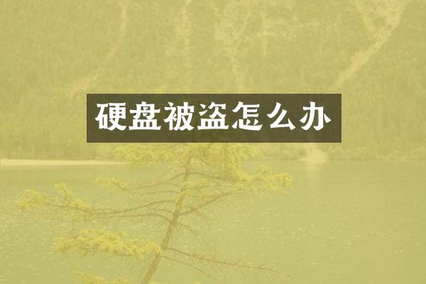 硬盘被盗怎么办