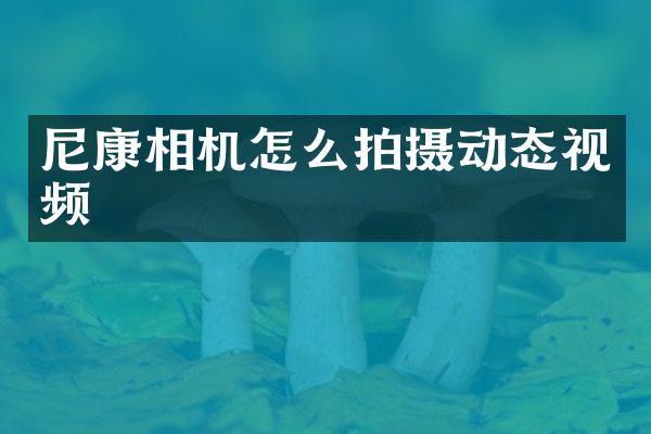 尼康相机怎么拍摄动态视频