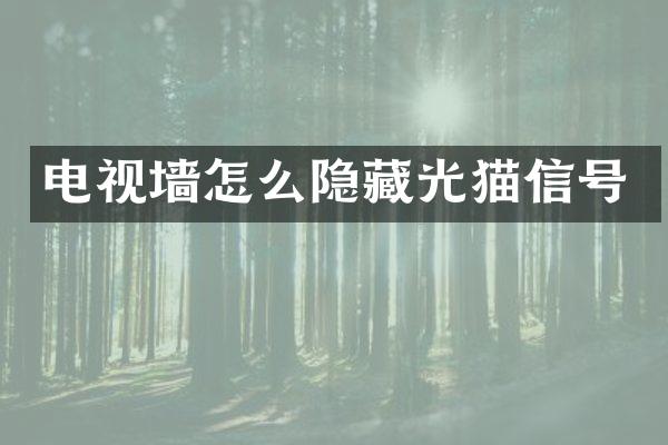 电视墙怎么隐藏光猫信号