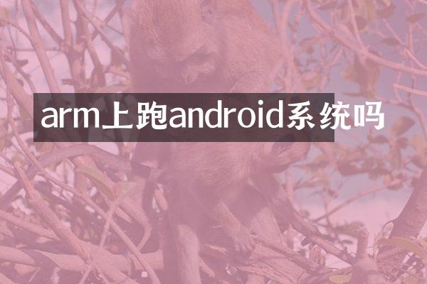 arm上跑android系统吗
