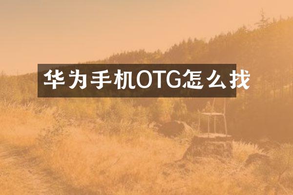 华为手机OTG怎么找