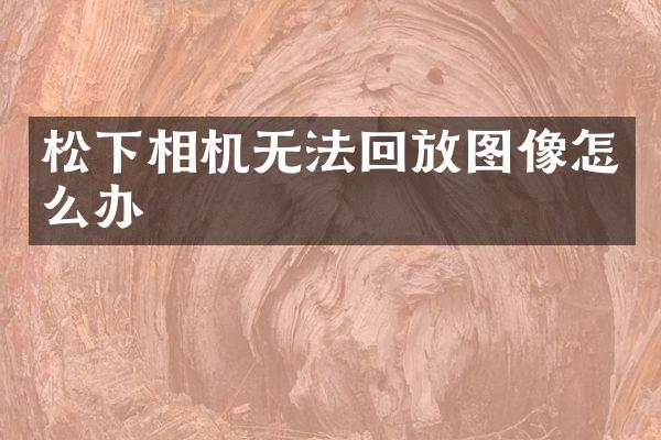 相机无法回放图像怎么办