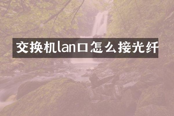 交换机lan口怎么接光纤