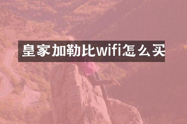 皇家加勒比wifi怎么买