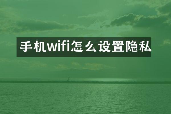 手机wifi怎么设置隐私