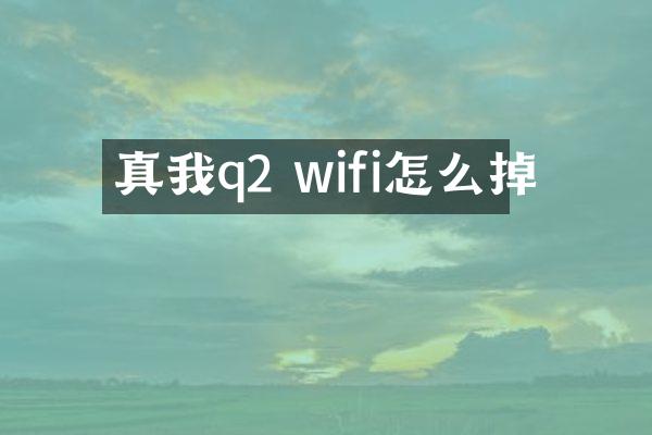 真我q2 wifi怎么掉