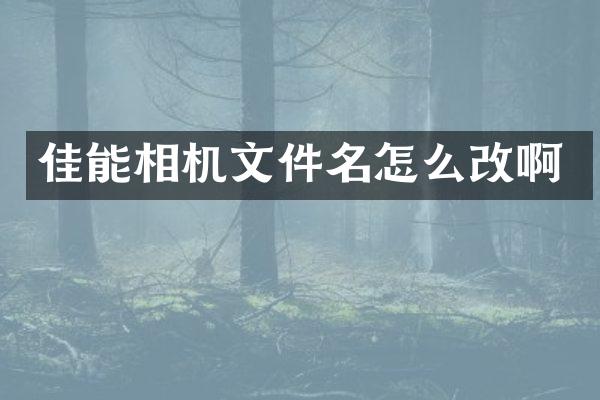 佳能相机文件名怎么改啊