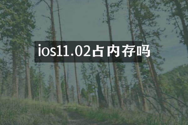 ios11.02占内存吗