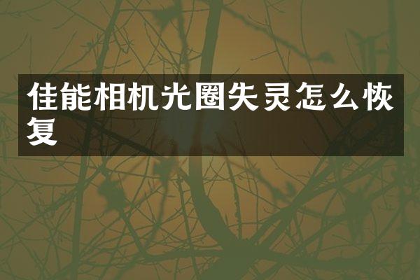 佳能相机光圈失灵怎么恢复