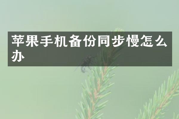苹果手机备份同步慢怎么办