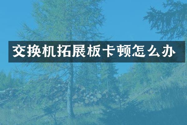 交换机拓展板卡顿怎么办