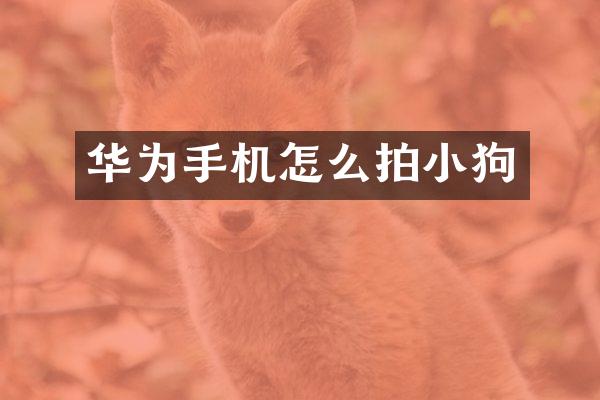 华为手机怎么拍小狗