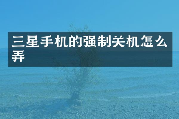 三星手机的强制关机怎么弄