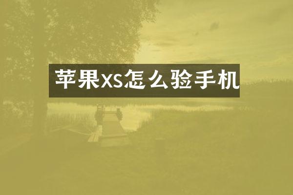 苹果xs怎么验手机