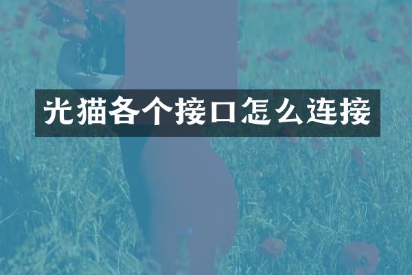 光猫各个接口怎么连接