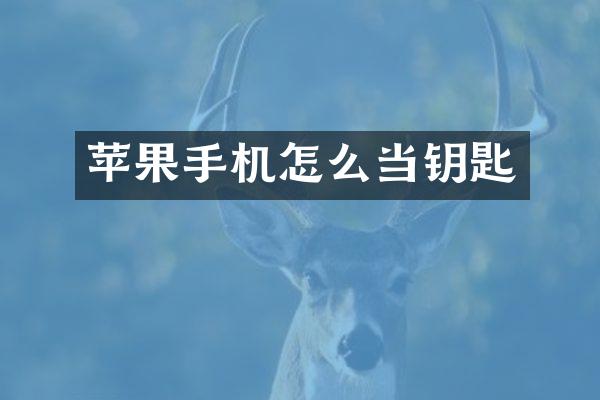 苹果手机怎么当钥匙