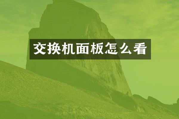 交换机面板怎么看