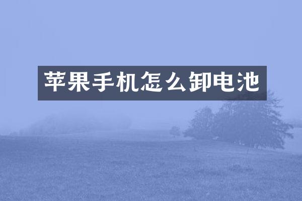 苹果手机怎么卸电池