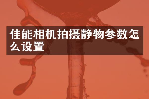 佳能相机拍摄静物参数怎么设置
