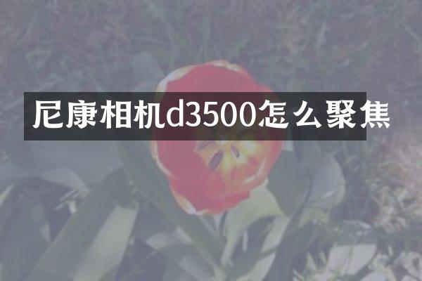 尼康相机d3500怎么聚焦