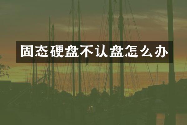 固态硬盘不认盘怎么办