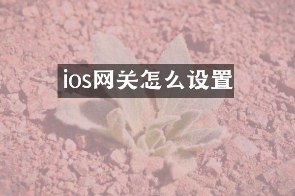 ios网关怎么设置