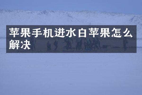 苹果手机进水白苹果怎么解决