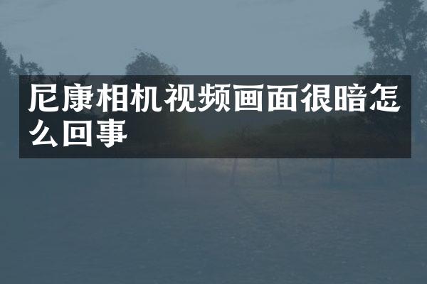 尼康相机视频画面很暗怎么回事