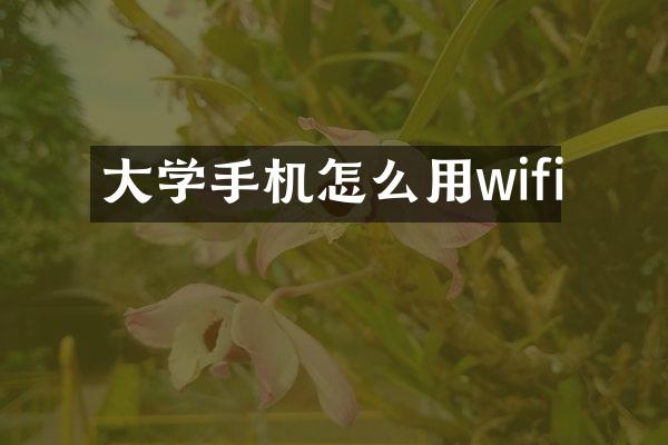 大学手机怎么用wifi