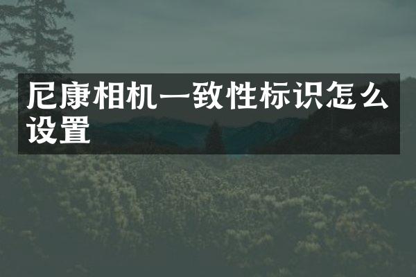 尼康相机一致性标识怎么设置