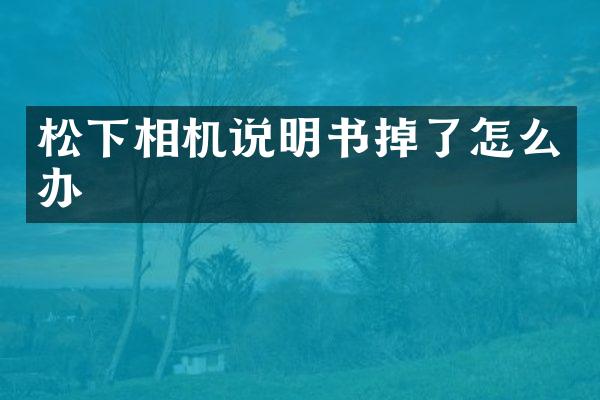 相机说明书掉了怎么办