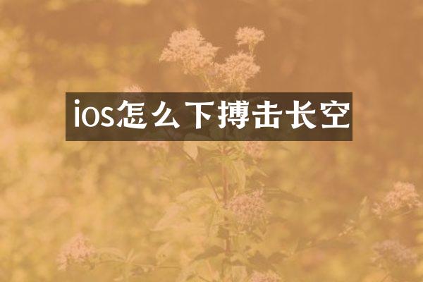 ios怎么下搏击长空