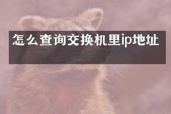 怎么查询交换机里ip地址吗