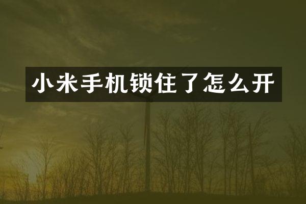 小米手机锁住了怎么开
