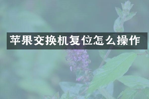 苹果交换机复位怎么操作