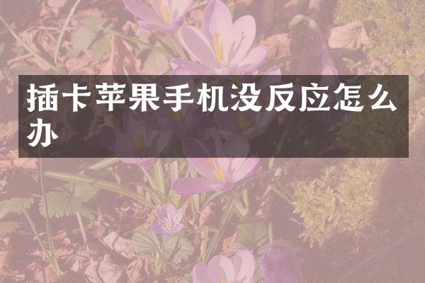 插卡苹果手机没反应怎么办
