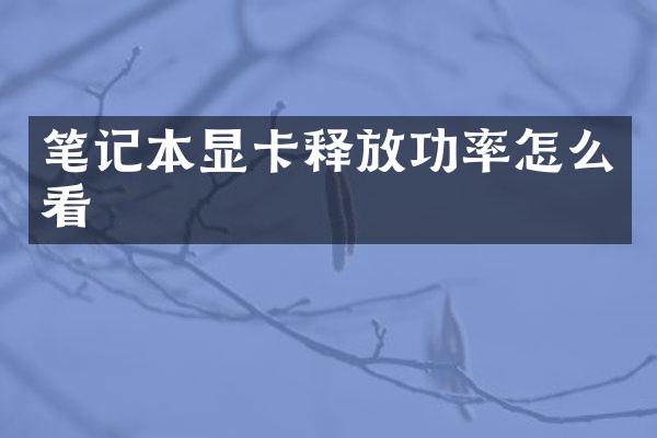 笔记本显卡释放功率怎么看