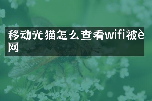 移动光猫怎么查看wifi被蹭网