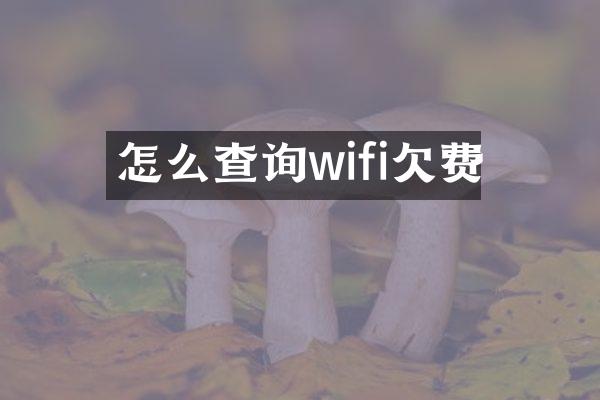 怎么查询wifi欠费
