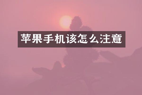 苹果手机该怎么注意