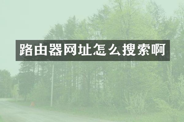 路由器网址怎么搜索啊